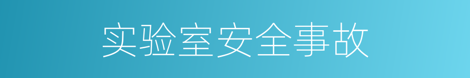 实验室安全事故的同义词