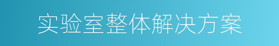 实验室整体解决方案的同义词