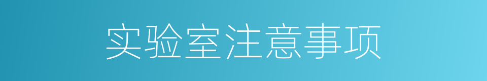 实验室注意事项的同义词