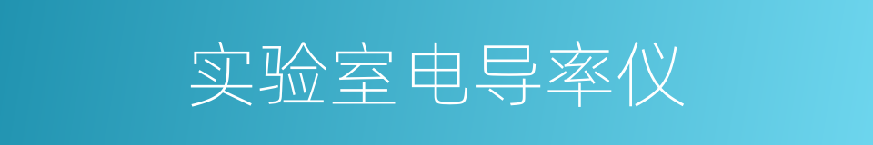 实验室电导率仪的同义词