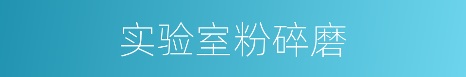 实验室粉碎磨的同义词