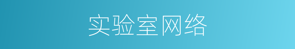 实验室网络的同义词