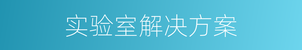 实验室解决方案的同义词