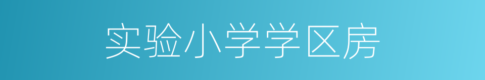 实验小学学区房的同义词