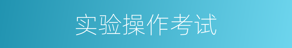 实验操作考试的同义词