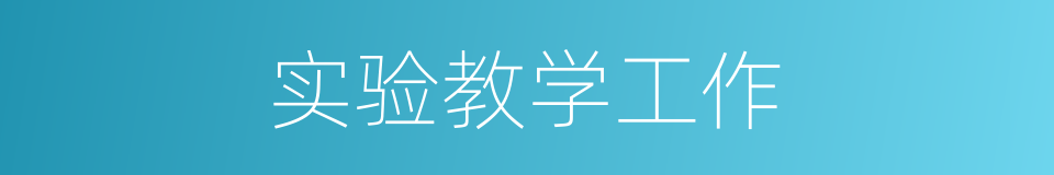 实验教学工作的同义词