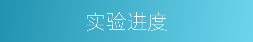 实验进度的同义词