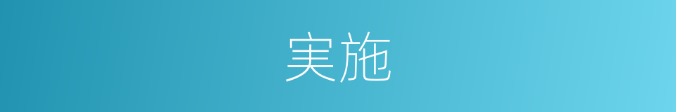 実施的同义词