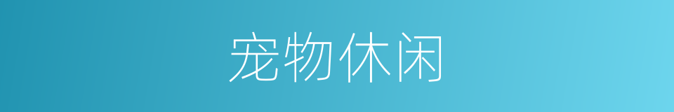 宠物休闲的同义词