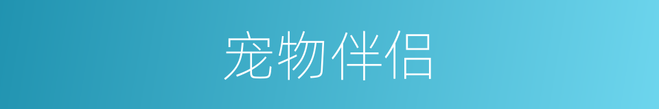 宠物伴侣的同义词