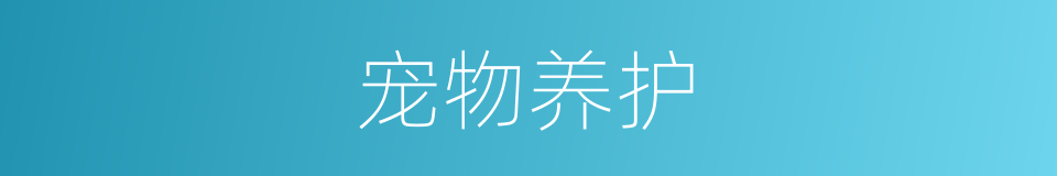 宠物养护的同义词