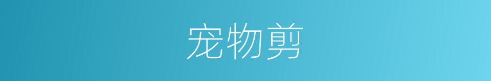 宠物剪的同义词