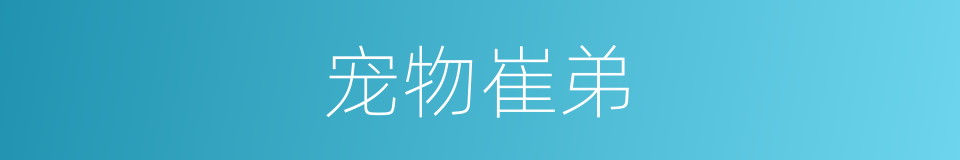 宠物崔弟的同义词