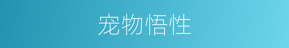 宠物悟性的同义词