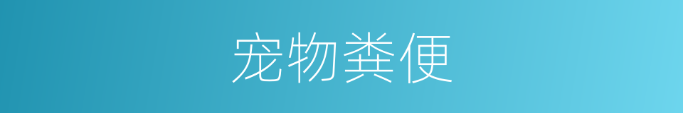 宠物粪便的同义词