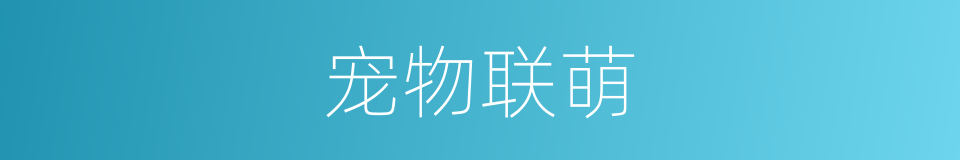 宠物联萌的同义词