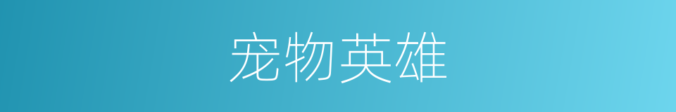 宠物英雄的同义词