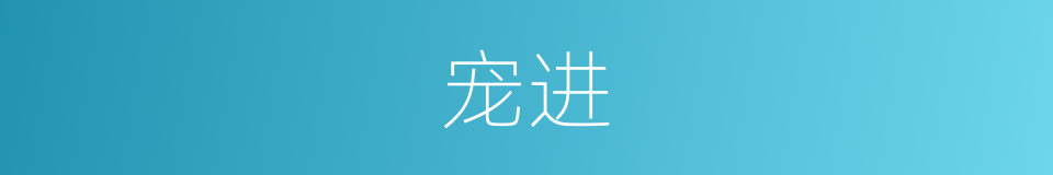宠进的意思