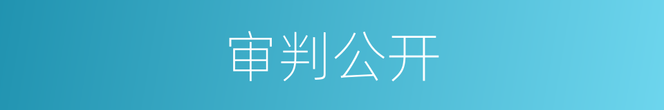 审判公开的意思