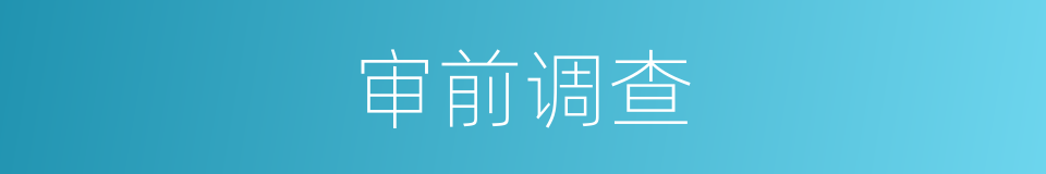 审前调查的同义词