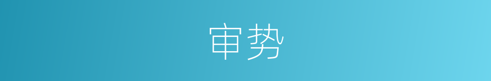 审势的意思