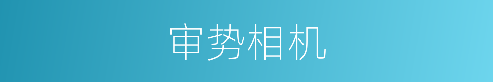 审势相机的意思