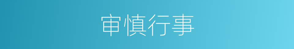 审慎行事的意思