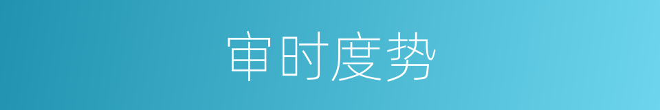 审时度势的意思