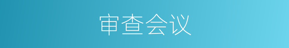 审查会议的同义词