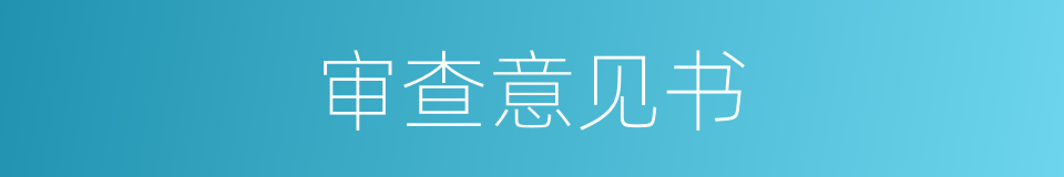 审查意见书的同义词