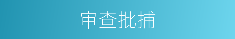 审查批捕的同义词
