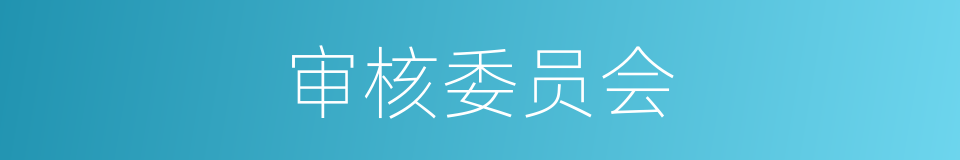 审核委员会的同义词