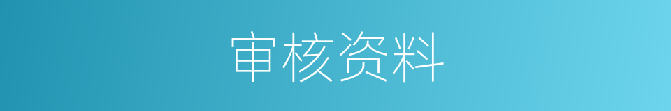 审核资料的同义词