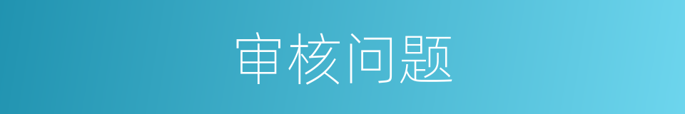 审核问题的同义词