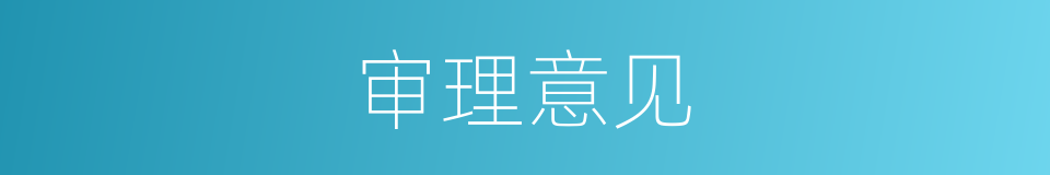 审理意见的同义词