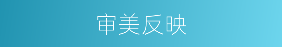 审美反映的同义词