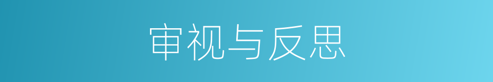 审视与反思的同义词