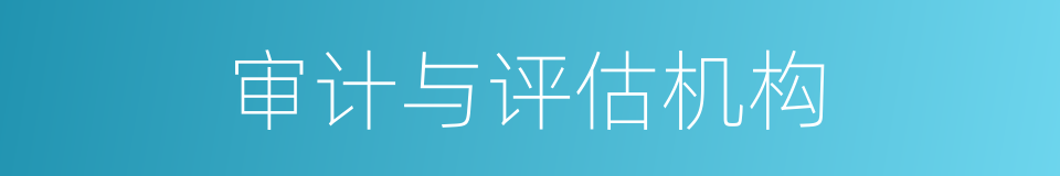审计与评估机构的同义词