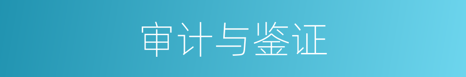 审计与鉴证的同义词