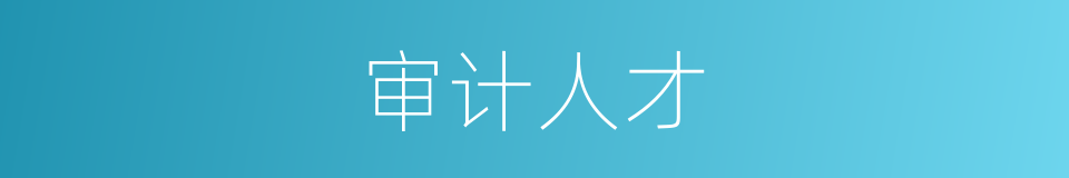 审计人才的同义词