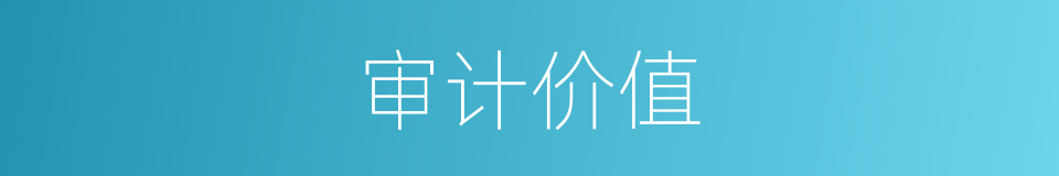 审计价值的同义词