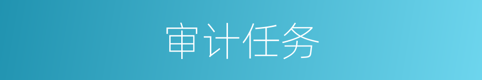 审计任务的同义词
