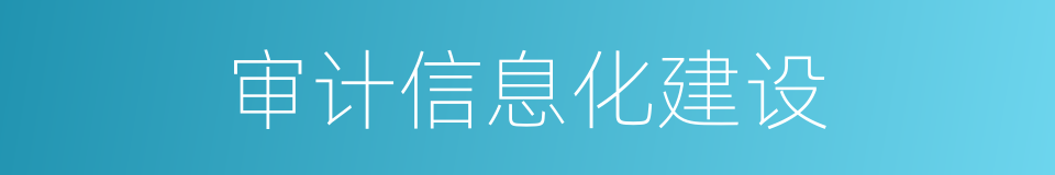 审计信息化建设的同义词