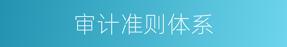 审计准则体系的同义词