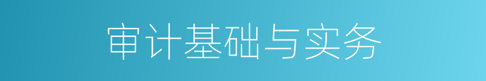 审计基础与实务的同义词