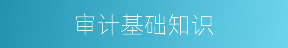 审计基础知识的同义词