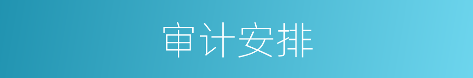 审计安排的同义词