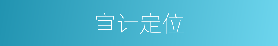 审计定位的同义词