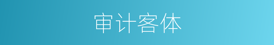 审计客体的同义词