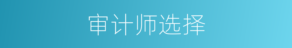 审计师选择的同义词